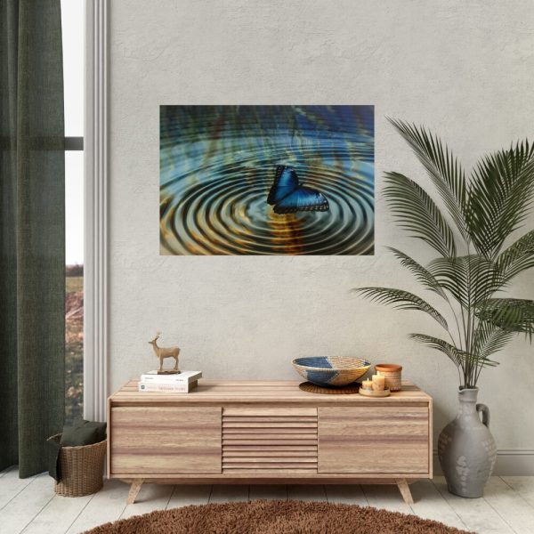 92409-52.jpg Butterfly on Collage Rings Poster