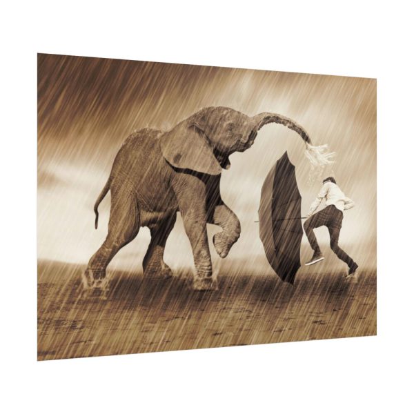 92409-524.jpg Elephant Play on the Rain with Umbrella Poster