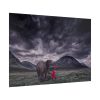 92409-529.jpg Elephant and Child Friendship Poster