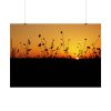 Sunset Poster