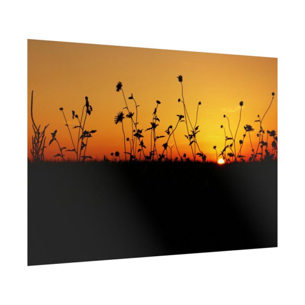 Sunset Poster