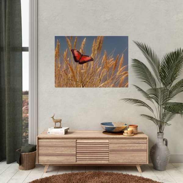 92409-55.jpg Grain Halme Cereals Butterfly Poster