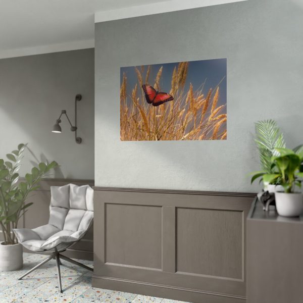 92409-56.jpg Grain Halme Cereals Butterfly Poster