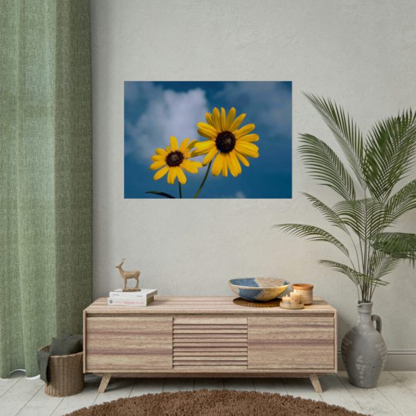 92409-570.jpg Blue Sky and Sunflower Poster