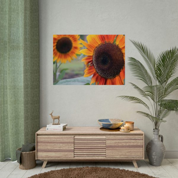 92409-595.jpg Colorful Orange Sunflower Poster