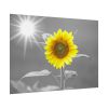 92409-599.jpg Beauty Sunflower Poster