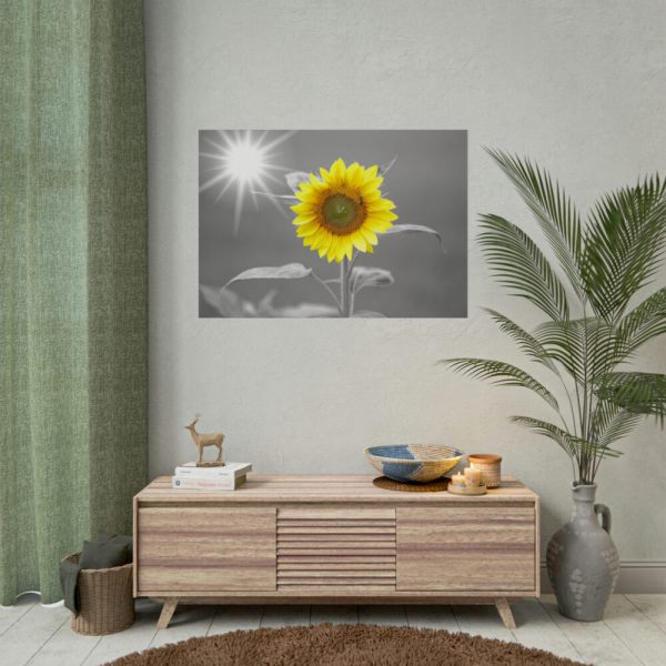92409-600.jpg Beauty Sunflower Poster