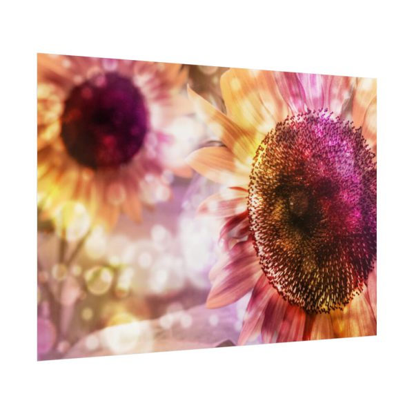 92409-604.jpg Artistic Color Poster