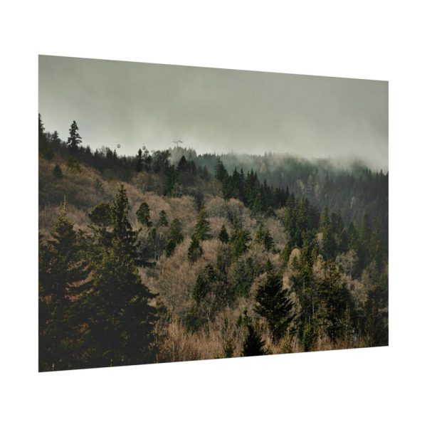 92409-634.jpg Forest Nature Poster