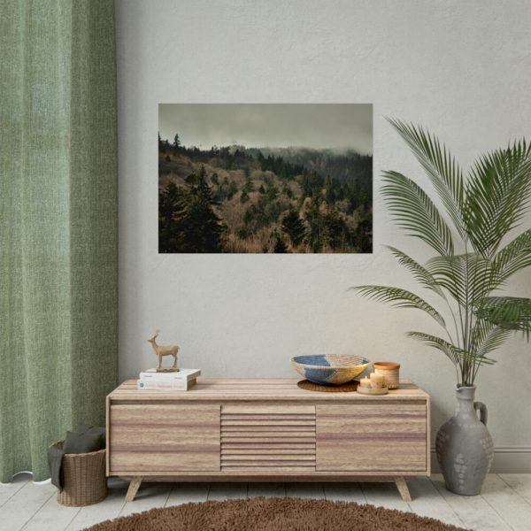 92409-635.jpg Forest Nature Poster