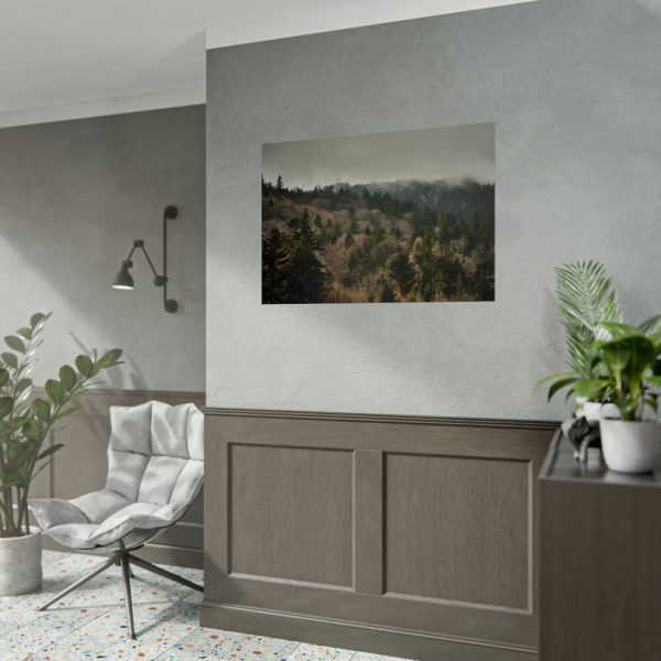 92409-636.jpg Forest Nature Poster