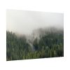 92409-639.jpg Forest in Fog Poster