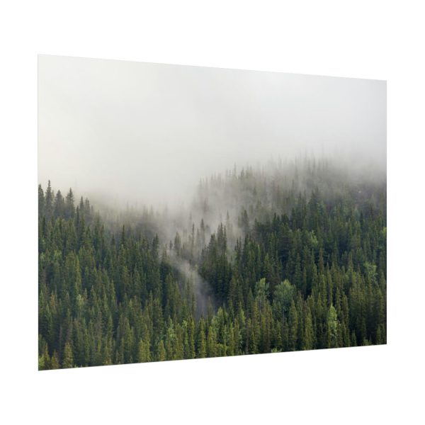 92409-639.jpg Forest in Fog Poster