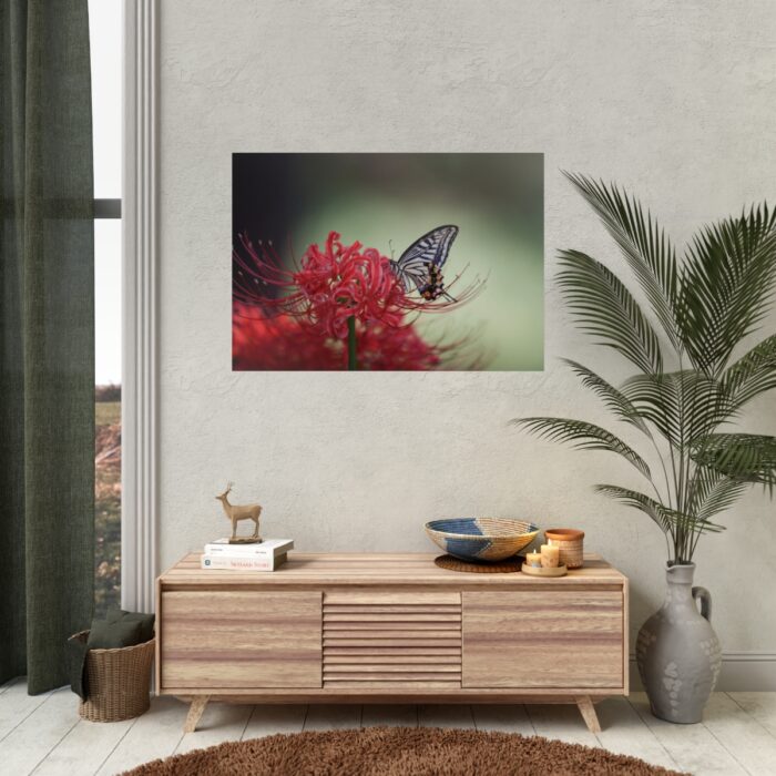 Butterfly on Red Flower Poster - Image 5