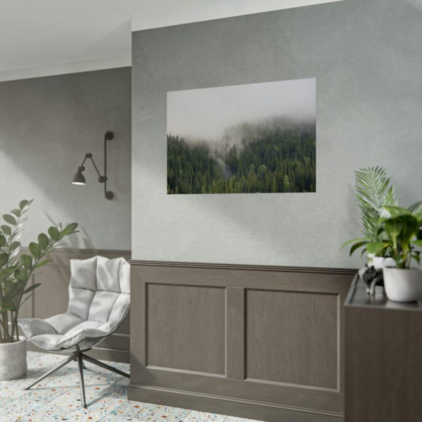 92409-641.jpg Forest in Fog Poster
