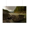92409-643.jpg Creek River in the Forest Poster
