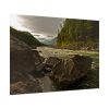 92409-644.jpg Creek River in the Forest Poster