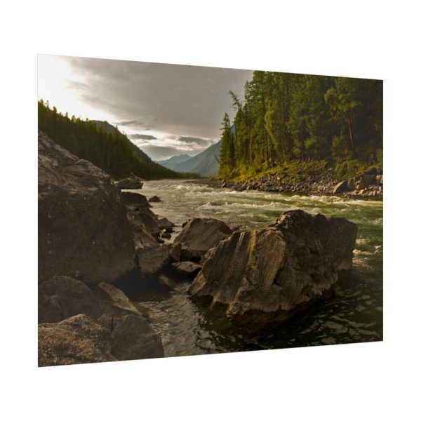 92409-644.jpg Creek River in the Forest Poster