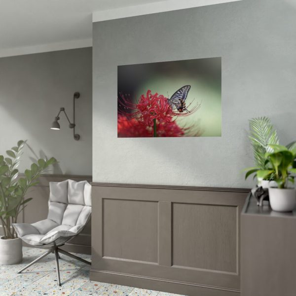 92409-65.jpg Butterfly on Red Flower Poster