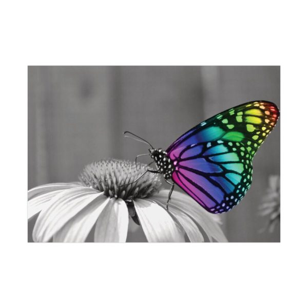 Colorful Butterfly on Flower Poster