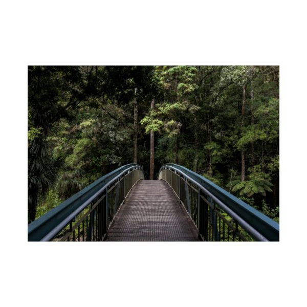 92409-667.jpg Bridge in the Forest Poster