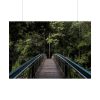 92409-668.jpg Bridge in the Forest Poster