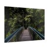 92409-669.jpg Bridge in the Forest Poster