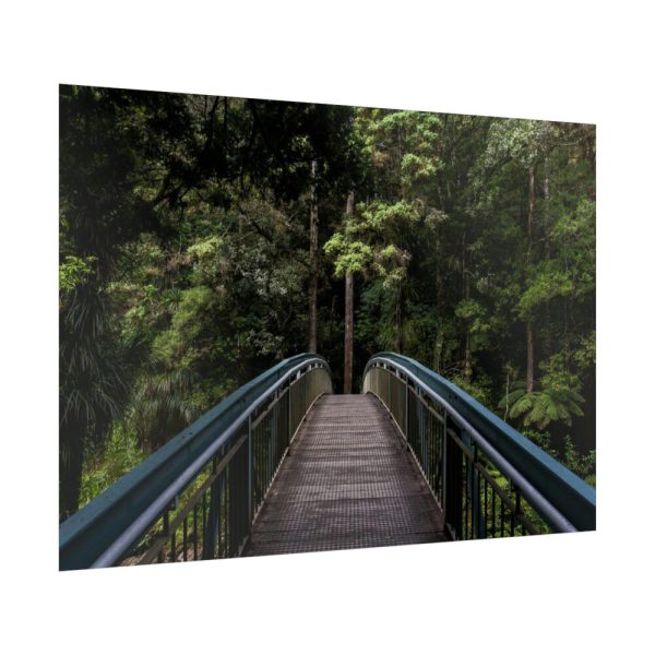 92409-669.jpg Bridge in the Forest Poster
