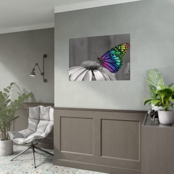 Colorful Butterfly on Flower Poster