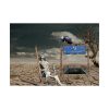 92409-682.jpg Composing Metro Desert Grim Poster