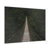 92409-709.jpg Bridge Leading to a Dense Forest Poster