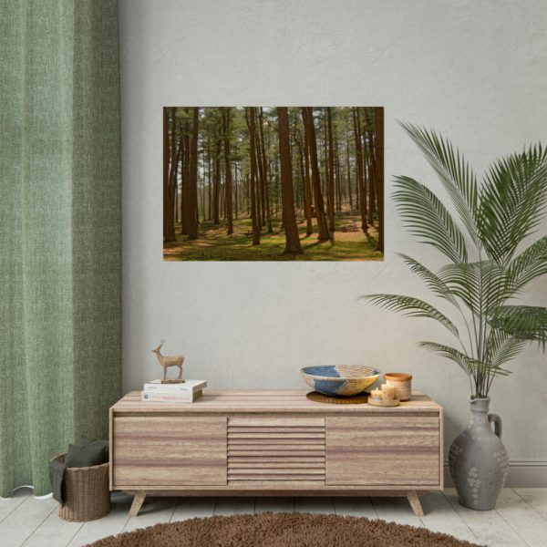 92409-715.jpg Leominster State Forest Poster