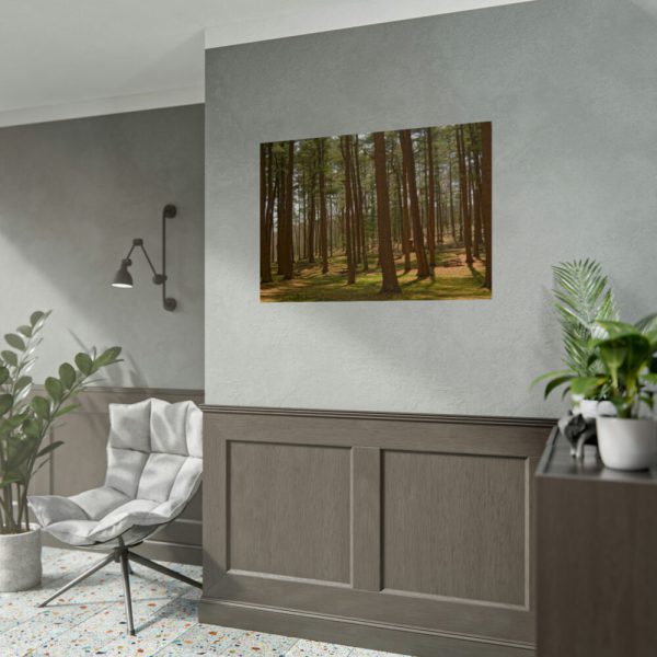 92409-716.jpg Leominster State Forest Poster