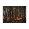 92409-717.jpg Dark Overgrown Forest Poster
