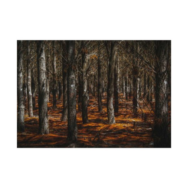 92409-717.jpg Dark Overgrown Forest Poster