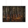 92409-718.jpg Dark Overgrown Forest Poster