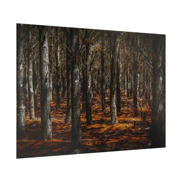92409-719.jpg Dark Overgrown Forest Poster