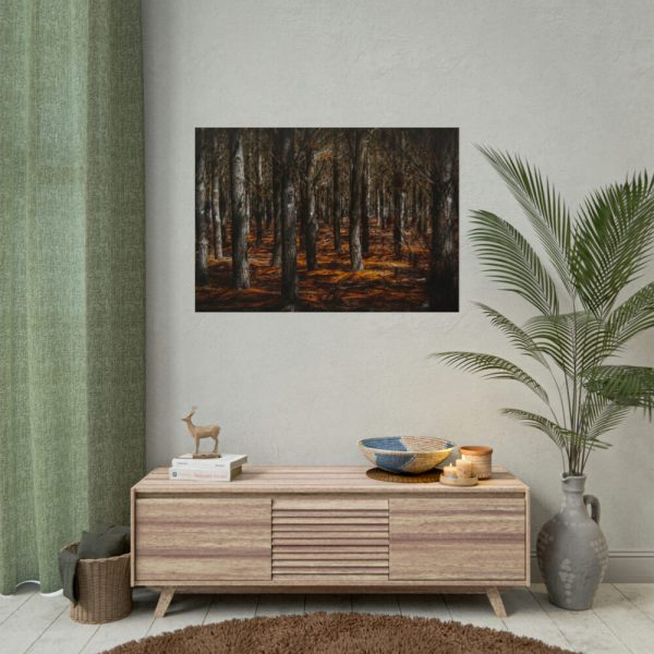 92409-720.jpg Dark Overgrown Forest Poster