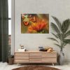 92409-73.jpg Butterfly on Orange Flower Poster