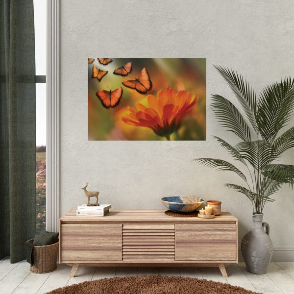 92409-73.jpg Butterfly on Orange Flower Poster