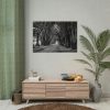 92409-730.jpg A Path Through the Forest Poster