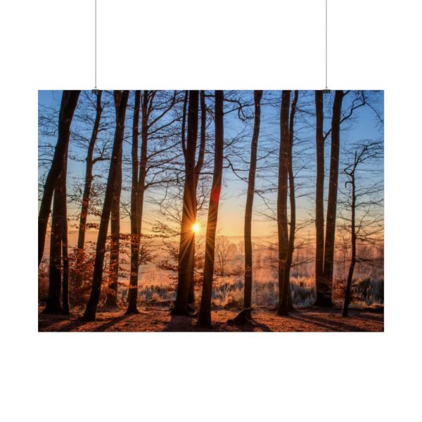 92409-733.jpg Forest Landscape with Sun and Trees Poster