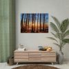 92409-735.jpg Forest Landscape with Sun and Trees Poster