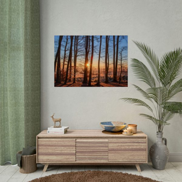 92409-735.jpg Forest Landscape with Sun and Trees Poster
