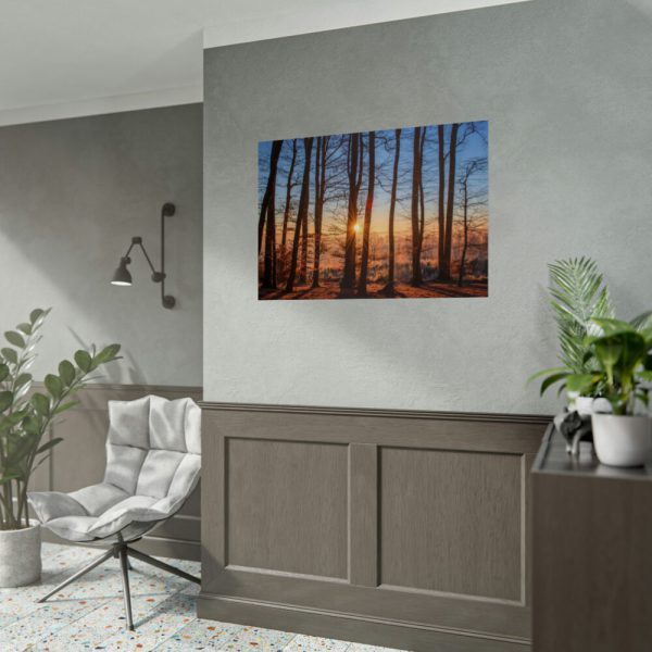 92409-736.jpg Forest Landscape with Sun and Trees Poster