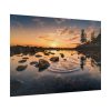 92409-739.jpg Water Reflection in the Forest Poster