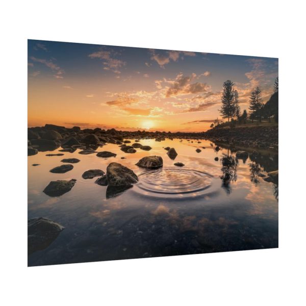92409-739.jpg Water Reflection in the Forest Poster
