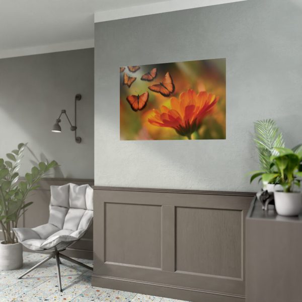 92409-74.jpg Butterfly on Orange Flower Poster