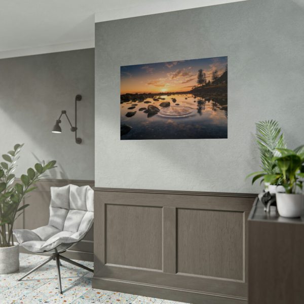 92409-741.jpg Water Reflection in the Forest Poster
