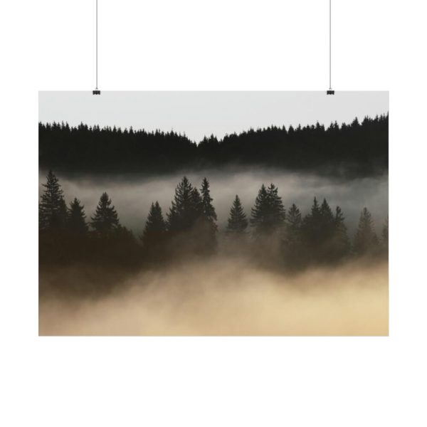 92409-753.jpg Trees and Forest in the Fog Poster
